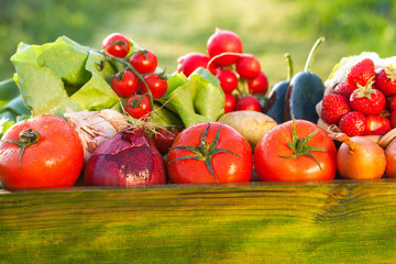 fresh organic vegetables