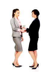 Businesswoman giving a house to her partner.