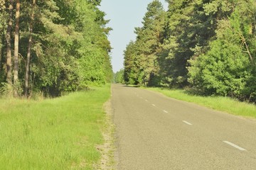 Дорога в красивом лесу © ais60
