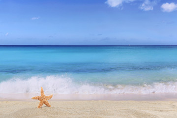 Fototapeta na wymiar Strand Szene Hintergrund im Sommer, Urlaub mit Seestern, Meer un