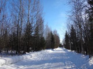 Дорога в лесу в снегу в летний солнечный день