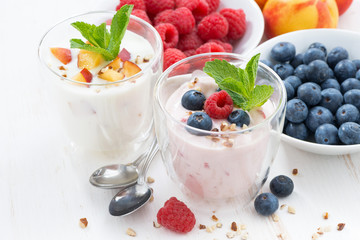 Berry and fruit yoghurt and fresh ingredients on white table
