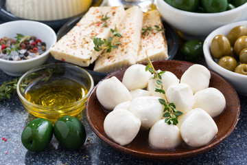 cheeses - mozzarella, feta cheese and pickles, close-up