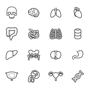 icon organ medical set
