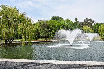 Naklejka premium Fountains in the park pond