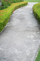 Abstract of concrete sidewalk and grass