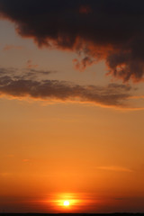 Fototapeta premium beautiful sunset