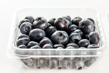 fresh blueberries