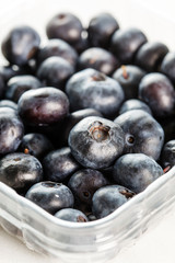 fresh blueberries
