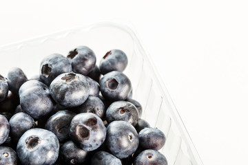 fresh blueberries