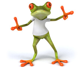 Fototapeta premium Frog with a white tshirt