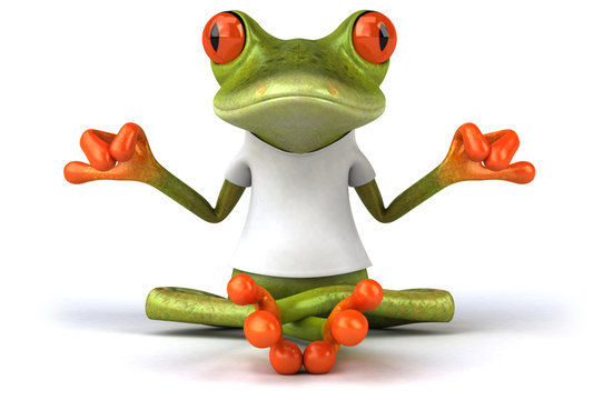Yoga Frog Images – Browse 1,569 Stock Photos, Vectors, and Video