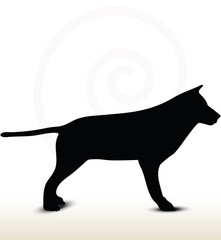 animal wolf silhouette