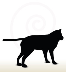 animal wolf silhouette