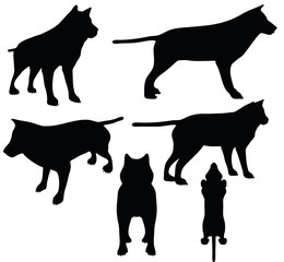 animal wolf silhouette