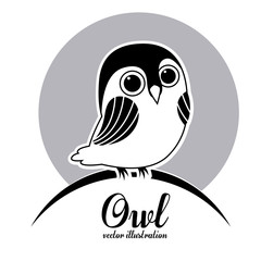 Owl design