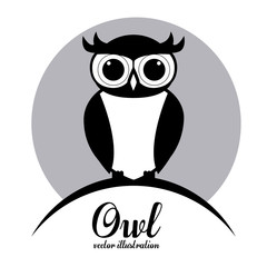 Owl design