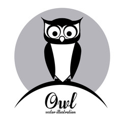 Owl design