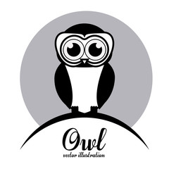 Owl design