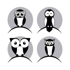 Owl design