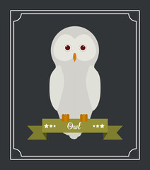 Owl design