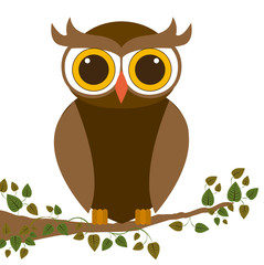 Owl design