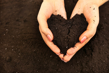 Female handful of soil in shape of heart, closeup - obrazy, fototapety, plakaty