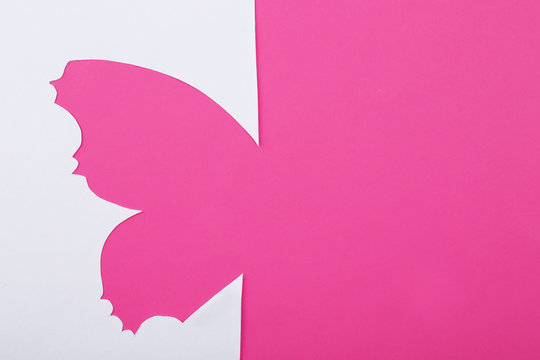 Cutout paper butterfly as greeting card