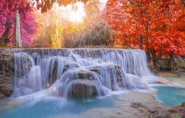 Fototapeta na wymiar Waterfall in rain forest (Tat Kuang Si Waterfalls at Luang praba