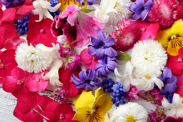 Obraz na płótnie Canvas Closeup of fresh colorful spring flowers