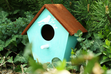 Decorative nesting box on green background