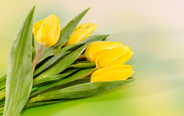 Obraz premium Yellow tulips flowers, bouquet, floral arrangement.