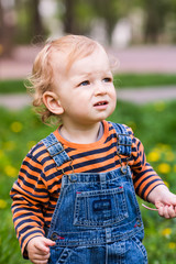 Cute baby boy on a lawn with dandelions