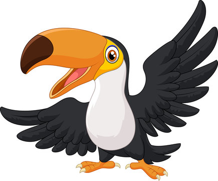 Cartoon happy bird toucan