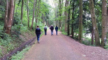 Promenade en forêt