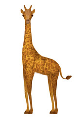 Fototapeta premium Animals design