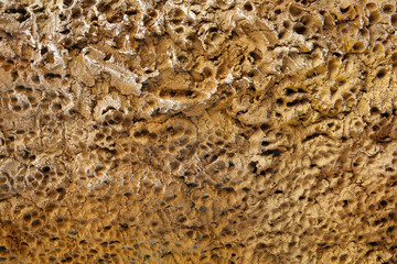 Cement texture background