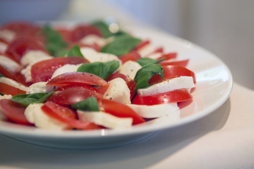 plate with mozarella and tomato