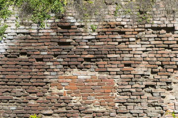 Wall