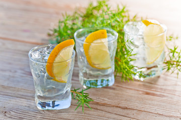 Gin with lemon and ice