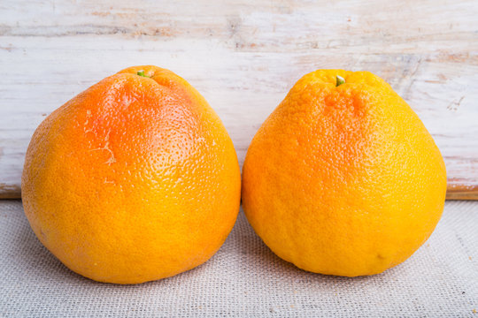 Two grapefruits on a white table