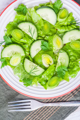 Green Salad made with lettuce, leek and cucumber