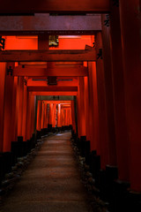 Brama Torii