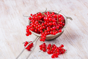Red Currant Berries