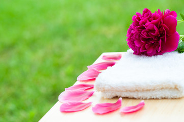 Flower petals towel spa relax concept