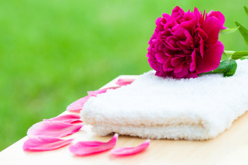 Flower petals spa relax