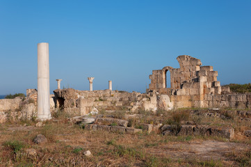 Ancient ruins of Salamis in Cyprus