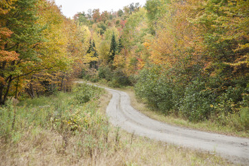 Winding dirt road