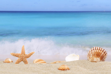 Fototapeta na wymiar Strand Szene Hintergrund im Sommer, Urlaub mit Meer und Textfrei