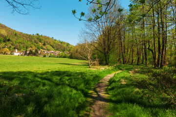 Huge green lawn in nature